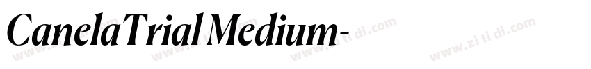 CanelaTrial Medium字体转换